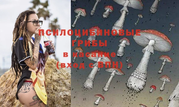 прущие крисы Алзамай