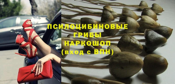 прущие крисы Алзамай