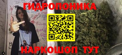 ГАЛЛЮЦИНОГЕННЫЕ ГРИБЫ Можга