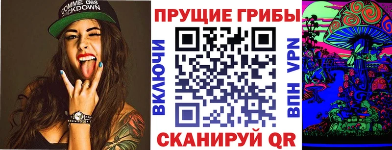 omg зеркало  купить закладку  Петрозаводск  Галлюциногенные грибы GOLDEN TEACHER 