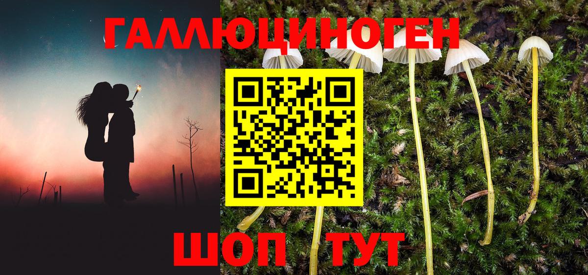 Псилоцибиновые грибы мицелий Петрозаводск