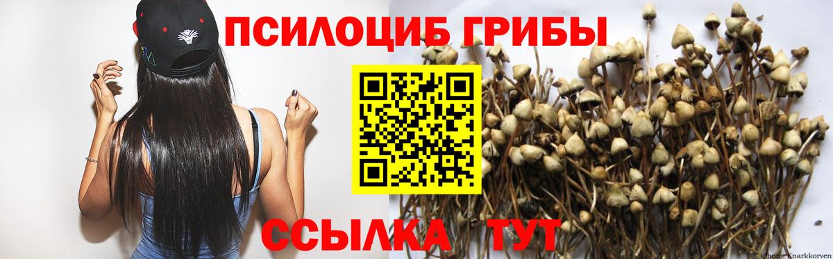 Галлюциногенные грибы мицелий  Вход с VPN  Петрозаводск 
