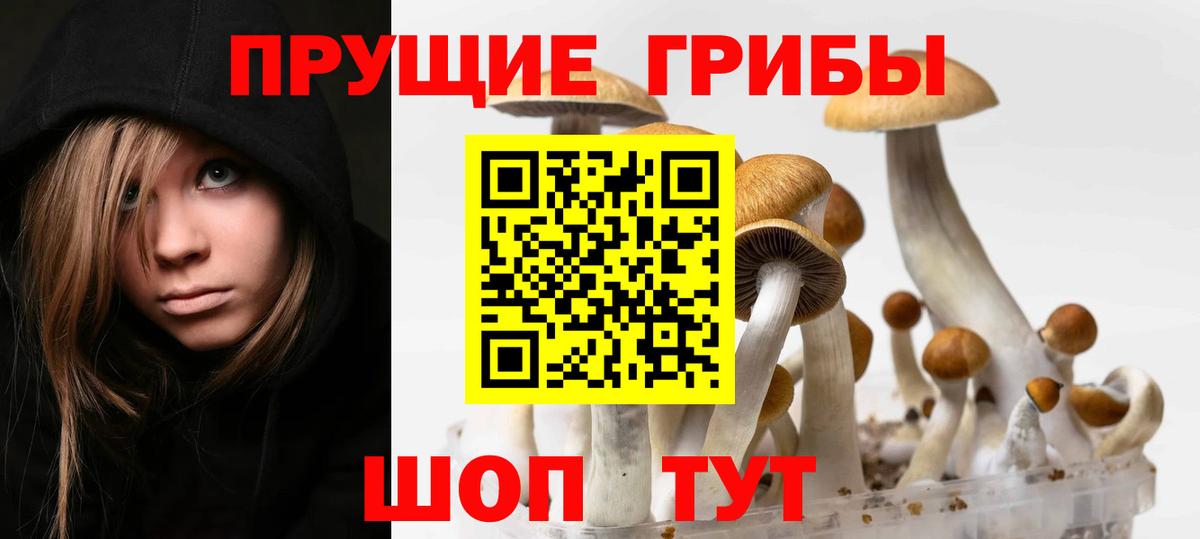 Петрозаводск  Галлюциногенные грибы GOLDEN TEACHER  Вход с VPN  Галлюциногенные грибы Psilocybine cubensis 